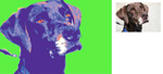 Pop Art Portrait