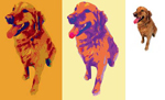 Pop Art Portrait