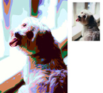 Pop Art Portrait