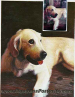 Pet Oil Portrait