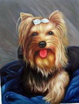 Pet Oil Portrait